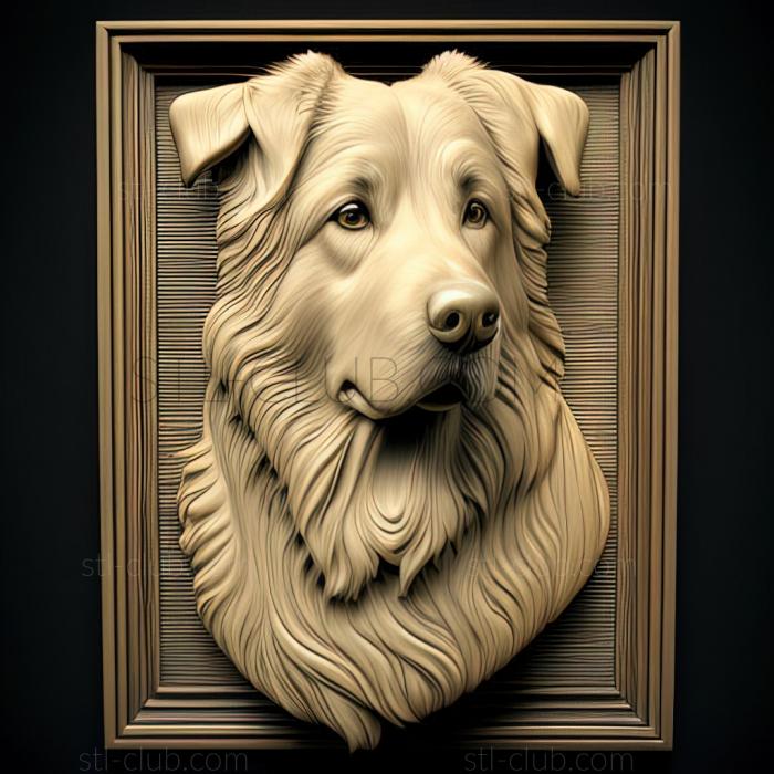 3D model st The Bergamian Shepherd dog (STL)